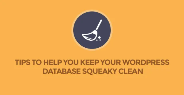Curățarea bazei de date WordPress