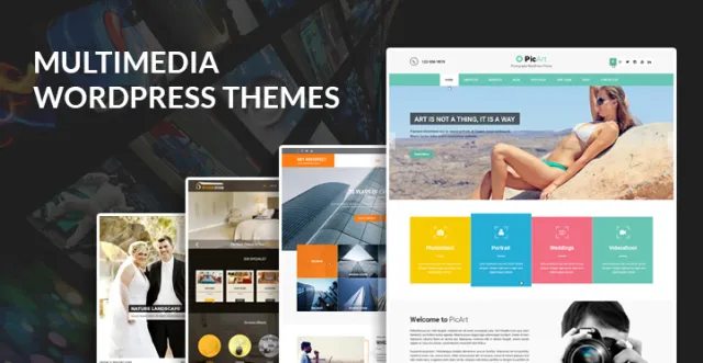 multimedya wordpress temaları