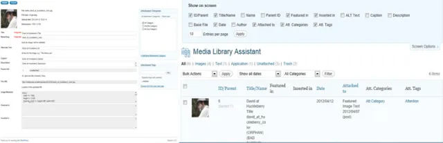 media-biblioteca-asistent