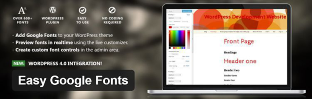 Plugin Google Fonts ușor