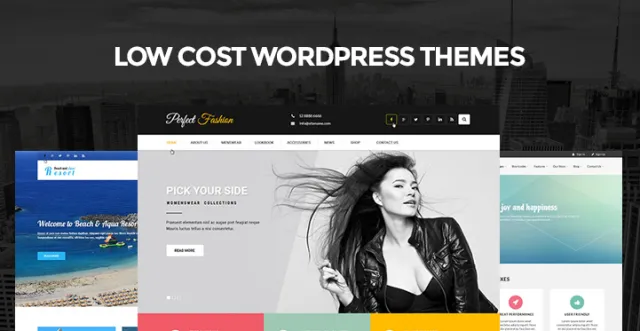 Teme WordPress cu cost redus