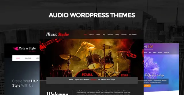 Tema WordPress Audio