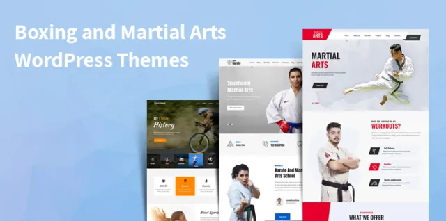 Temi MMA WordPress