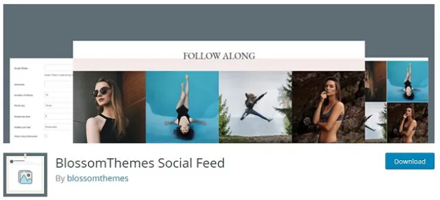 BlossomThemes 社交动态