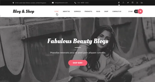 Tema WordPress de blog de moda
