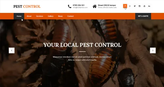 Tema WordPress Controle de Pragas
