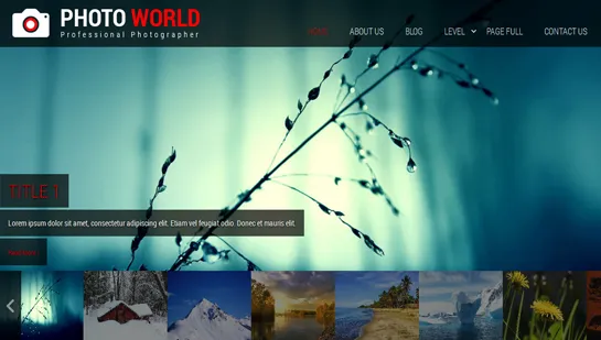 Fotografie WordPress-Theme