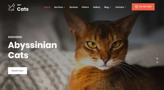 skt Katzen