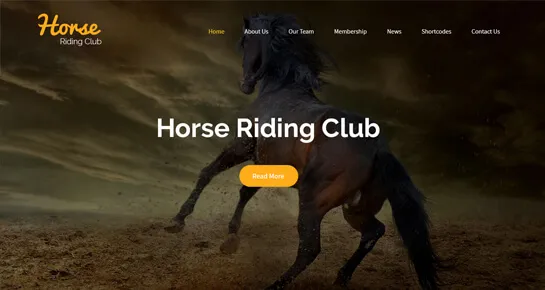 Reiterliches WordPress-Thema