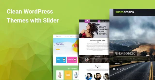 Reinigen Sie WordPress-Themes mit dem Schieberegler