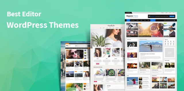 Editor de temas WordPress