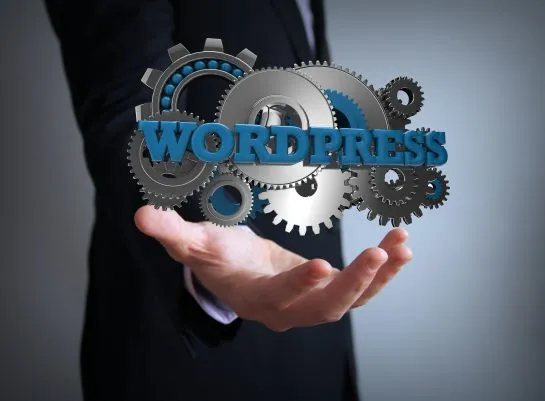 WordPress Untuk Situs Web Anda