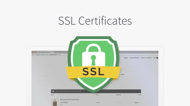 SSL 인증서