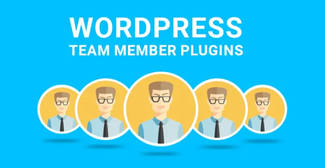 WordPress 团队成员插件 WordPress