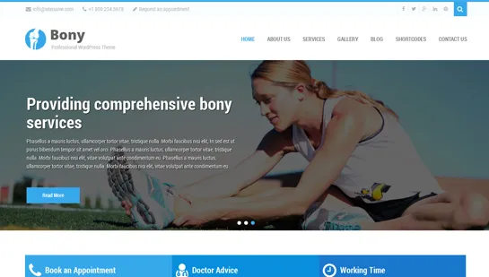 tema WordPress quiroprático