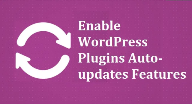 Włącz funkcje automatycznych aktualizacji wtyczek WordPress