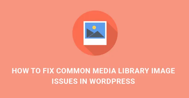 일반적인 미디어 문제 해결 WordPress
