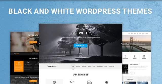 黑白 WordPress 主题