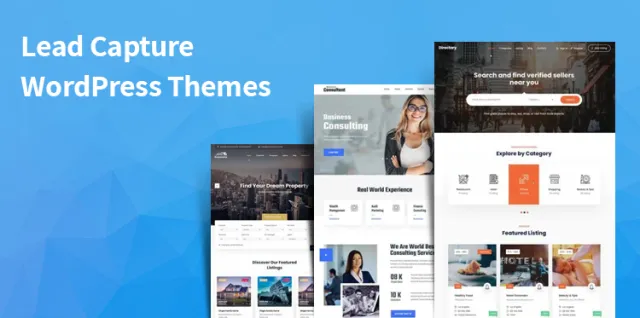 นำจับธีม WordPress