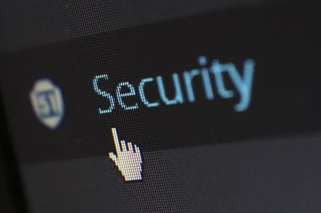 موضوعات WordPress المؤمنة