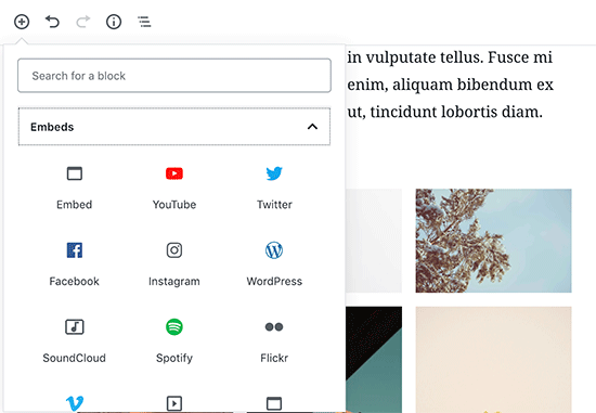 вставлять видео редактор WordPress