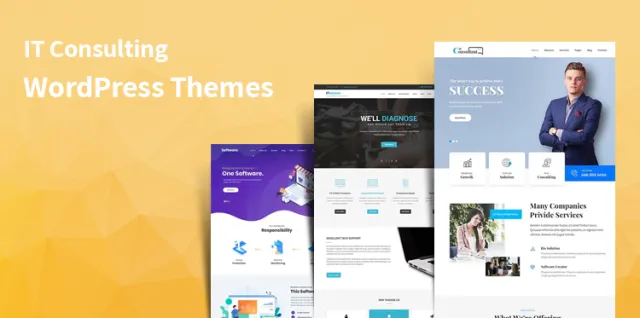consultarea temelor WordPress