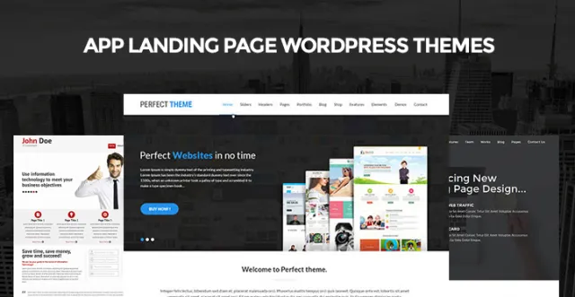 teme-aplicație-pagină-de-aterizare-wordpress