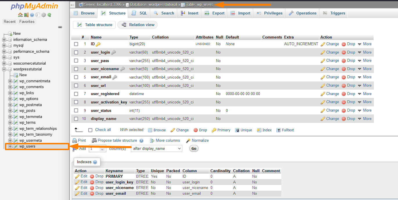 wp_user Table de base de données WordPress