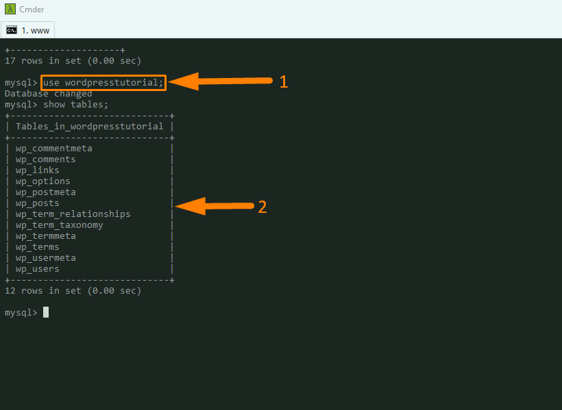 Connexion à la base de données WordPress via CLI -4