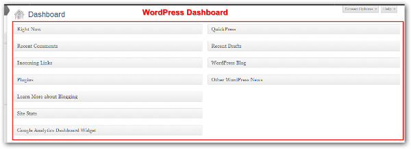 WordPress Yeni Başlayanlar İçin 20 Adım WordPress Dashboard 11