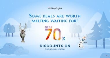 ShopEngine 假日特卖