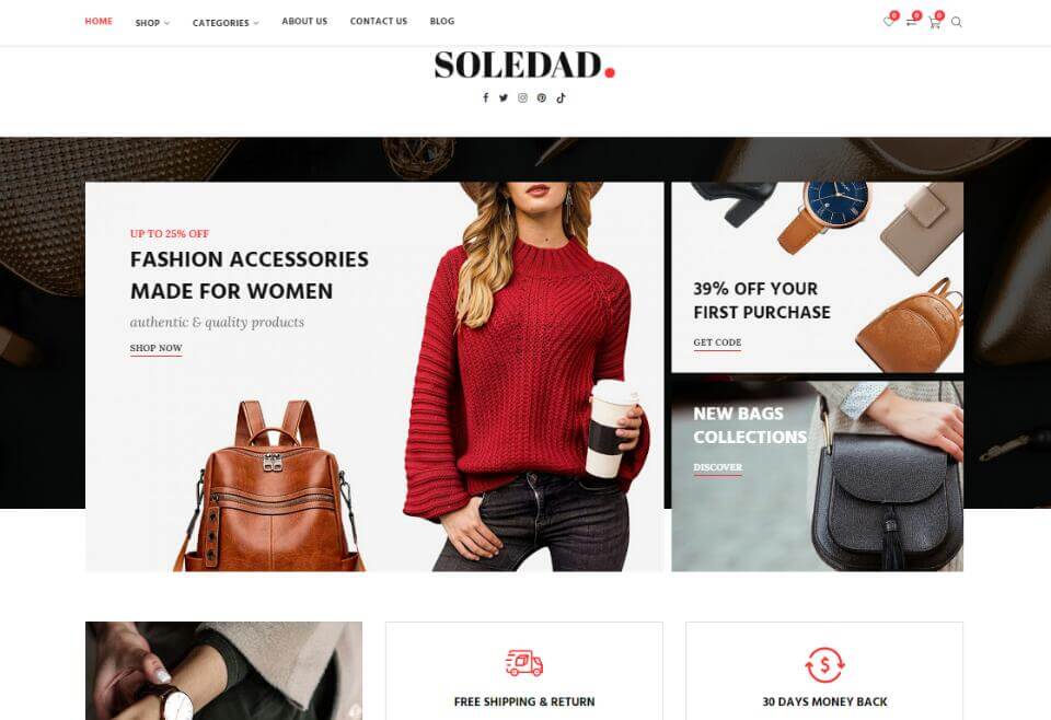 Soledad - Tema WordPress Serbaguna
