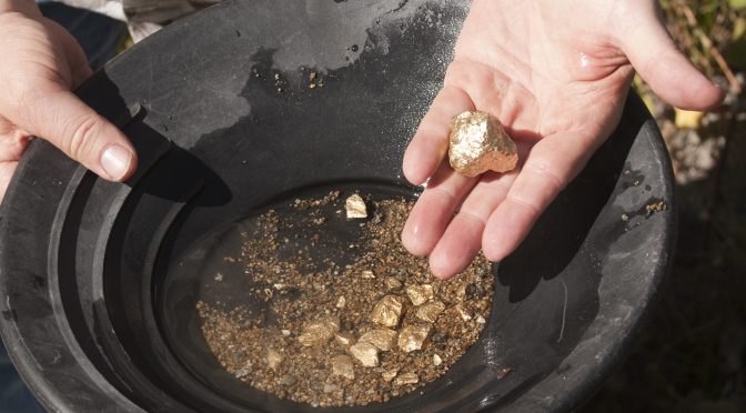 Le pepite sono lì dentro, devi solo guardare!