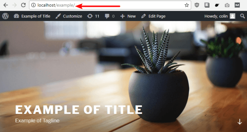 WordPress auf einem Localhost