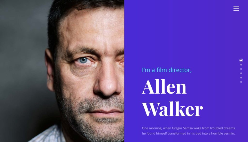 One Page Pro 是最好的 WordPress 简历主题之一