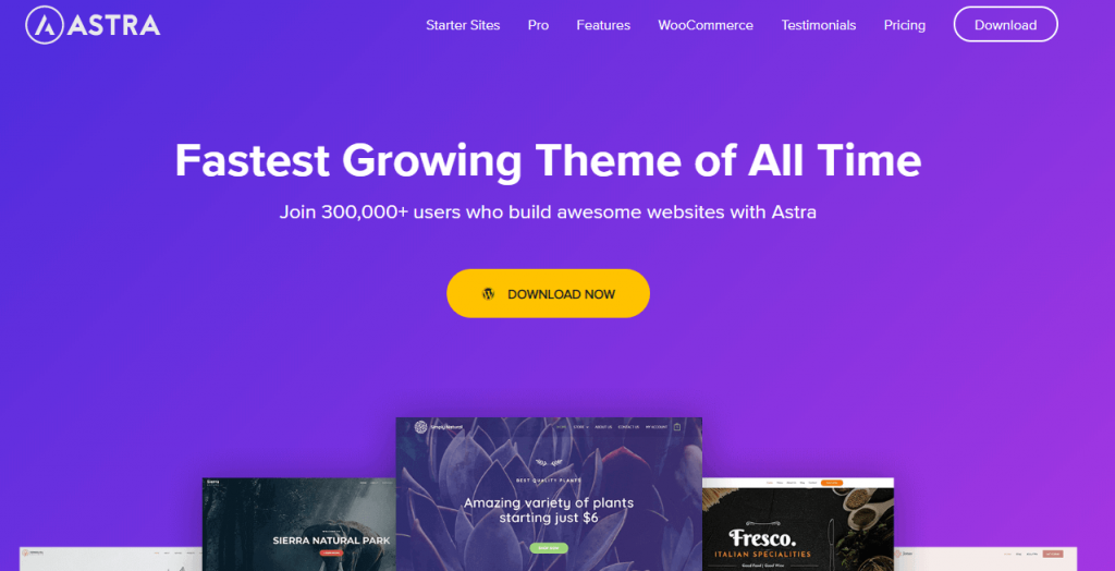 Który motyw działa najlepiej z Elementorem (10+ popularnych motywów Elementor) 4 Astra- best theme for Elementor