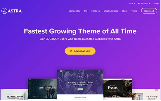 Einführung von Elementor Page Builder mit leistungsstarken Widgets-Addons 14 Astra theme