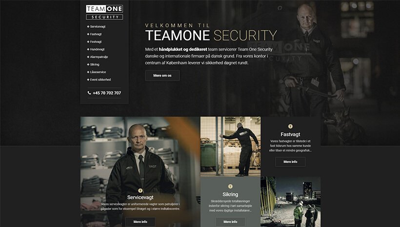 Elementor PageBuilder9で構築されたトップ10サイト Team One Security