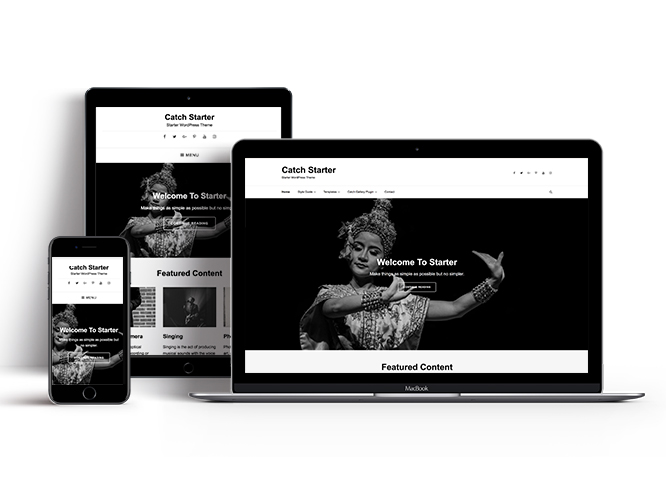 10 лучших стартовых тем WordPress (как правильно выбрать?) 9 catch-starter-starter-theme