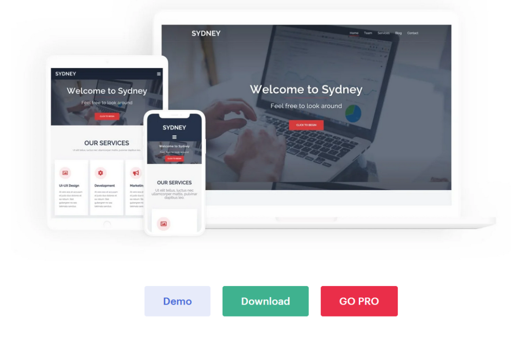 6 melhores temas WordPress para Elementor 3 The One-stop Solution for Building Website