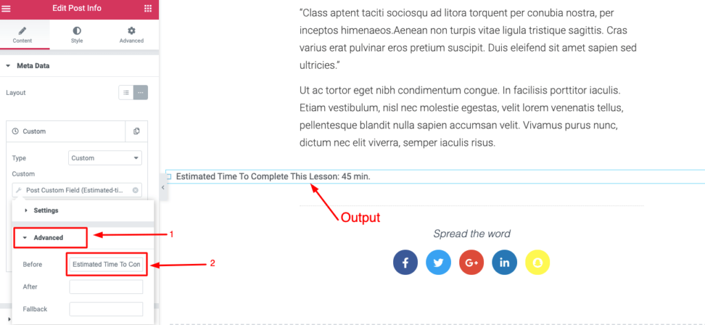 Come creare un sito Web di un corso online in WordPress utilizzando Elementor (Tutorial e guida alla pianificazione preliminare) 22 Add a label to your custom field