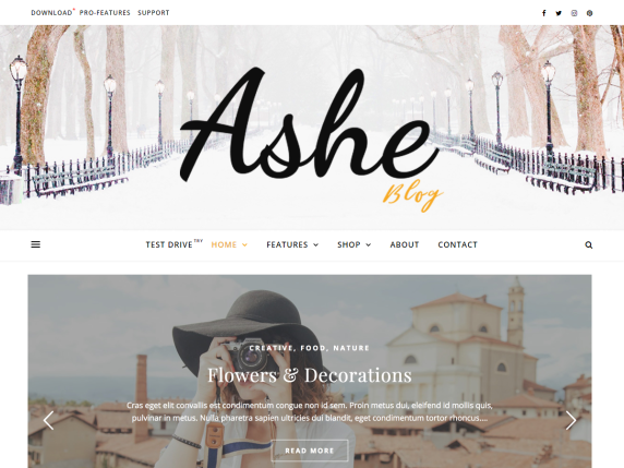 10 najlepszych darmowych motywów WordPress dla biznesu 11 Free WordPress Blog Theme