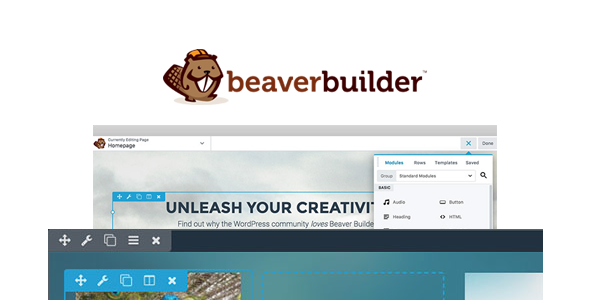 Beaver Builder Vs Elementor – Welches für Ihre Website? 7 designing with beaver builder