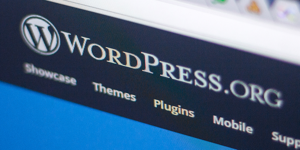 HTML vs WordPress - 建立网站的最佳方式是什么 3 WordPress Betty Carter