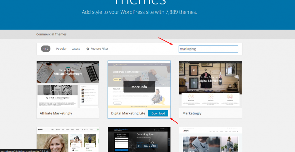 自定义 WordPress 主题的终极指南 4 Download a WordPress Theme