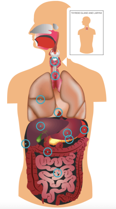 วิธีสร้างและใช้รูปภาพฮอตสปอตใน WordPress (5 ขั้นตอนง่าย ๆ) 3 Biology