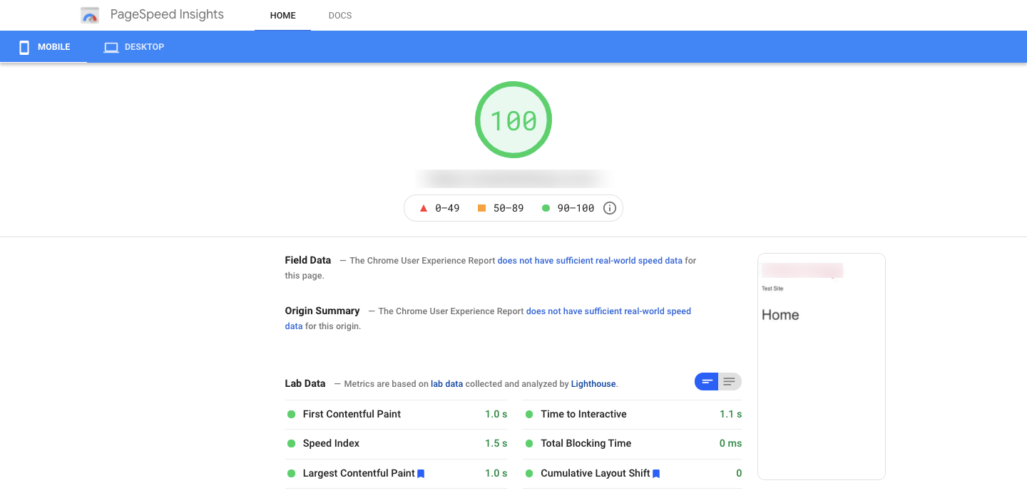 مراجعة صادقة لموضوع Elementor Hello: إيجابيات ، التسعير ، اختبار السرعة ، البرنامج التعليمي والمزيد 5 PageSpeed using Hello Elementor