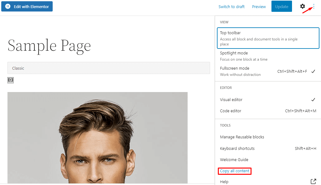 WordPressでページを複製する方法-Elementor11の有無にかかわらず Copy all content with WP Editor