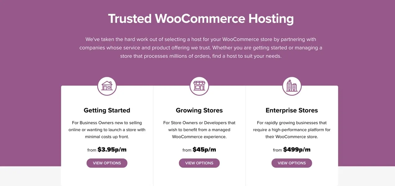 Página de hospedagem WooCommerce, com recomendações para lojas de todos os níveis