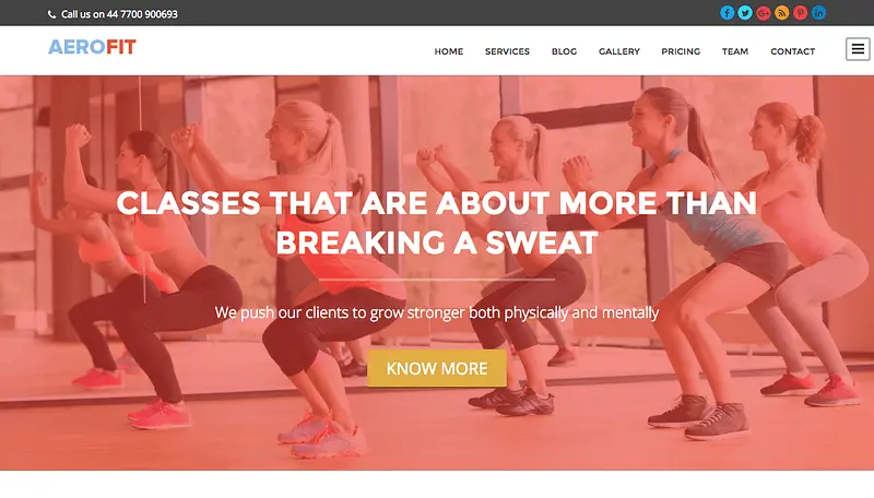 Tema WordPress de fitness Aerofit